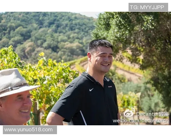 姚明与纳帕的篮球传奇之旅探秘：从赛场到人生的精彩交汇